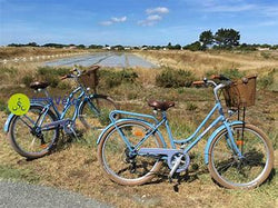 🚴‍♂️ COMMENT ANTICIPER LE VOL DE VÉLO : Protégez Vos Roues avec Style! 🛡️
