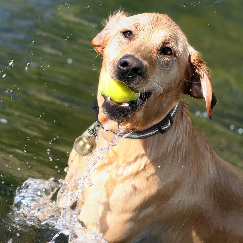 Traceur GPS Chien Chasse