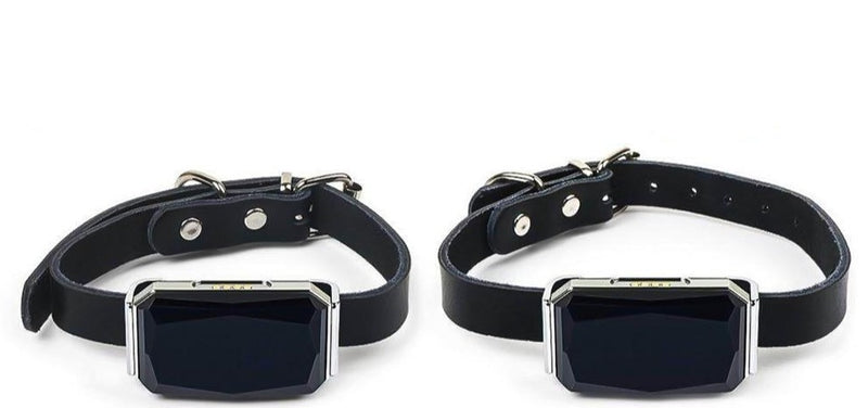COLLIER TRACEUR GPS TEMPS RÉEL SANS ABONNEMENT POUR ANIMAUX