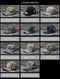 Casquette Camouflage Chasse