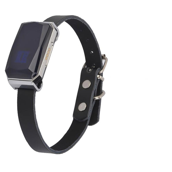 COLLIER TRACEUR GPS TEMPS RÉEL SANS ABONNEMENT POUR ANIMAUX
