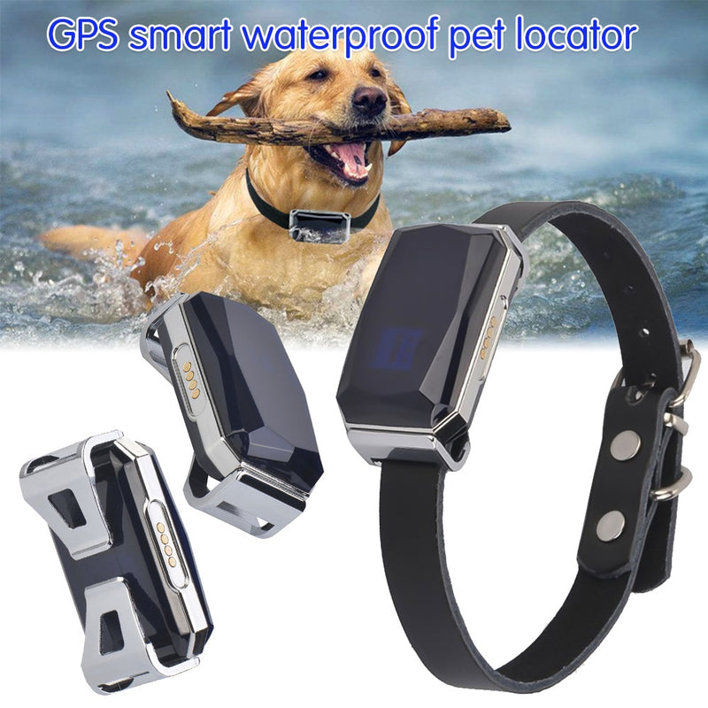 COLLIER TRACEUR GPS TEMPS RÉEL SANS ABONNEMENT POUR ANIMAUX