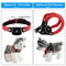 Traceur GPS pour Chien