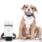 COLLIER TRACEUR GPS TEMPS RÉEL SANS ABONNEMENT POUR ANIMAUX