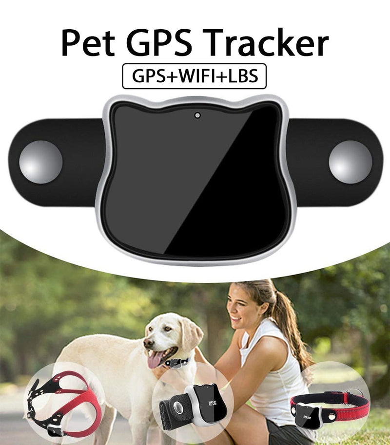 Traceur GPS pour Chien