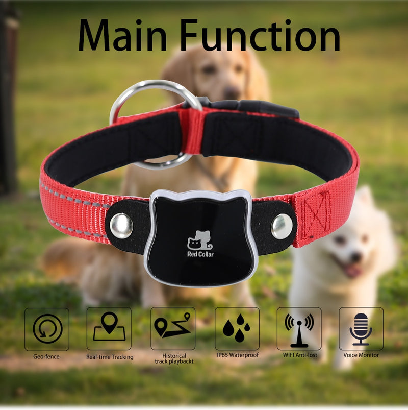 Traceur GPS pour Chien