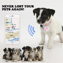 Traceur Gps Chien - Collier Rose
