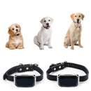 COLLIER TRACEUR GPS TEMPS RÉEL SANS ABONNEMENT POUR ANIMAUX
