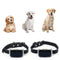 COLLIER TRACEUR GPS TEMPS RÉEL SANS ABONNEMENT POUR ANIMAUX