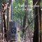 Caméra Chasse GSM