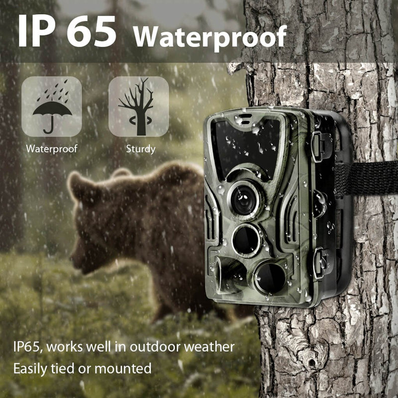 Caméras Chasse Infrarouge