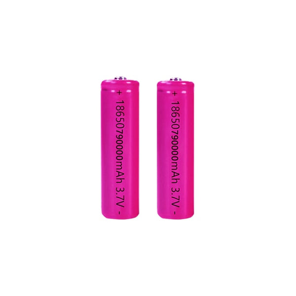 Piles Rechargeable - Batterie pour Chargeur Solaire